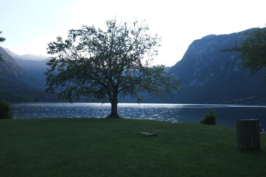 Apartment Brumec Bohinj Exterior photo